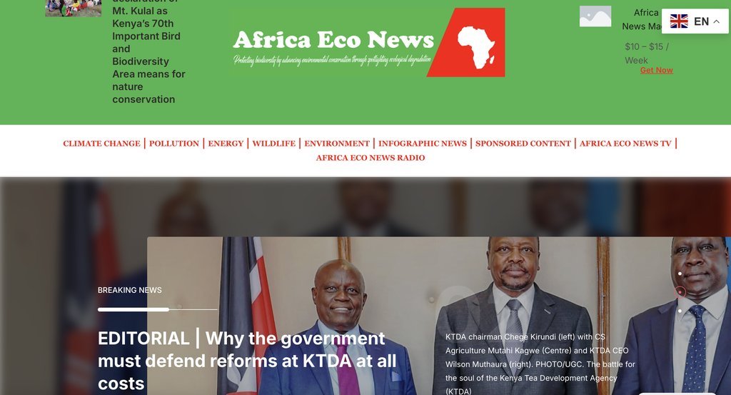 Screenshot of the Africa Eco News website