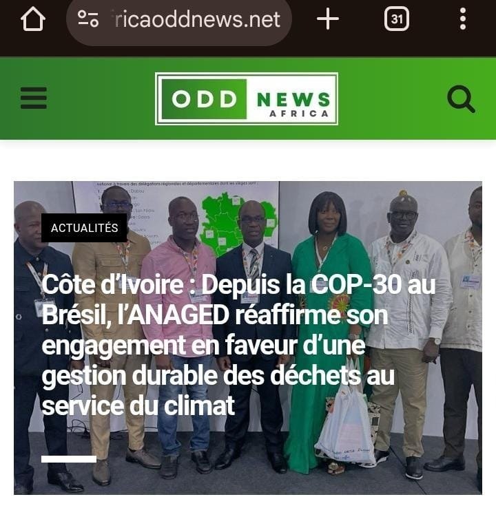 Screenshot of the Africa Odd News website