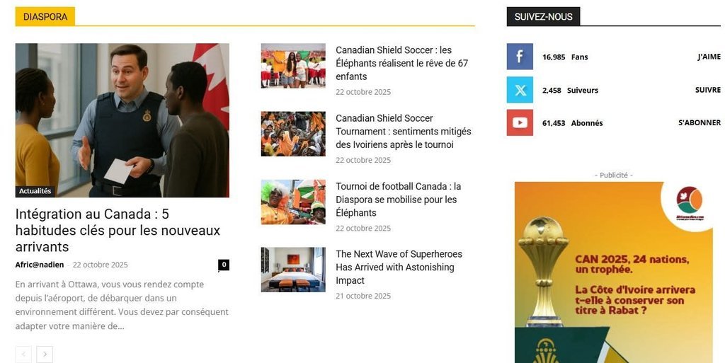 Screenshot of the Africanadien website
