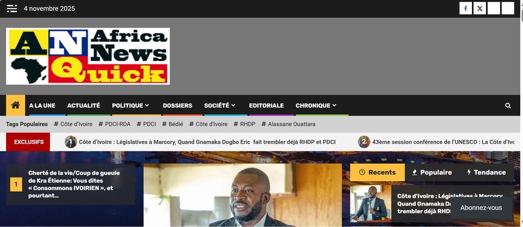 Screenshot of the Africanews quick website