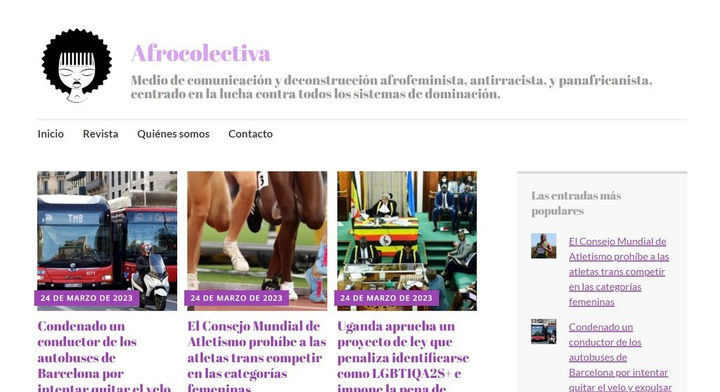 Screenshot of the Afrocolectiva Es website