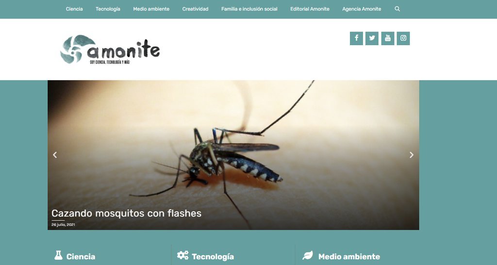 Screenshot of the Amonite website