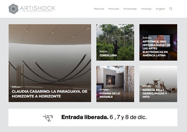 Screenshot of the Artishock website