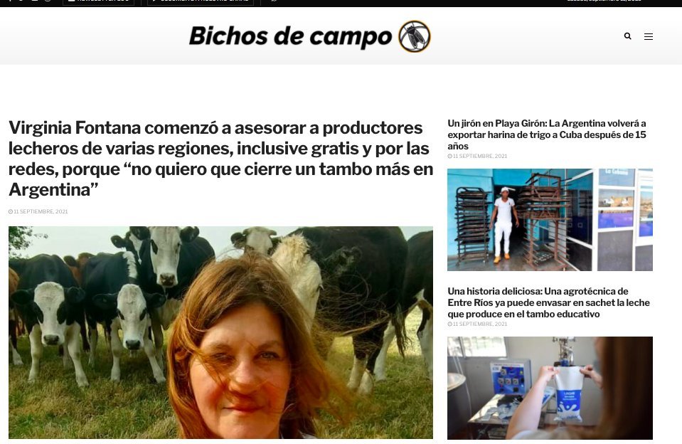 Screenshot of the Bichos De Campo website
