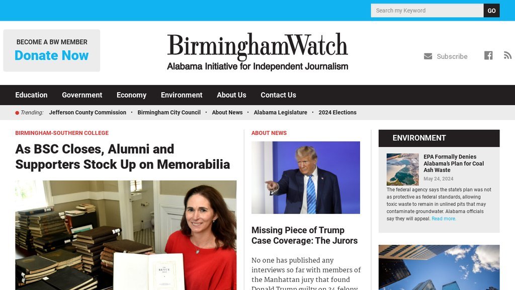 Screenshot of the Birmingham Watch website