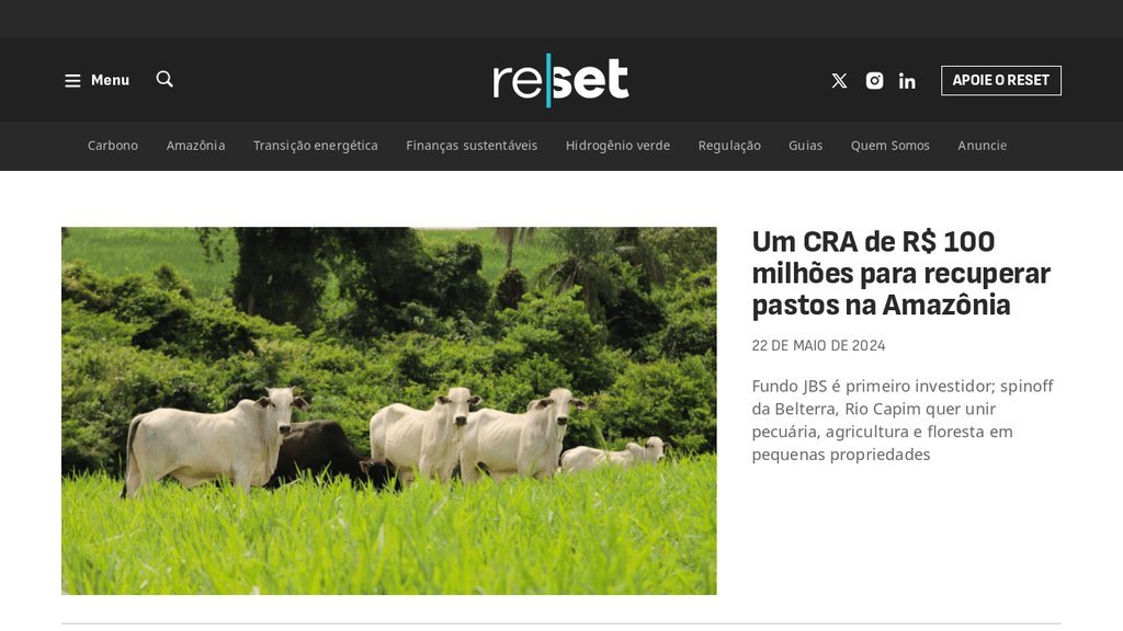 Screenshot of the Capital Reset website