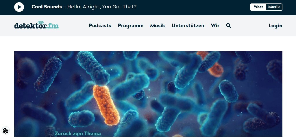Screenshot of the detektor.fm website