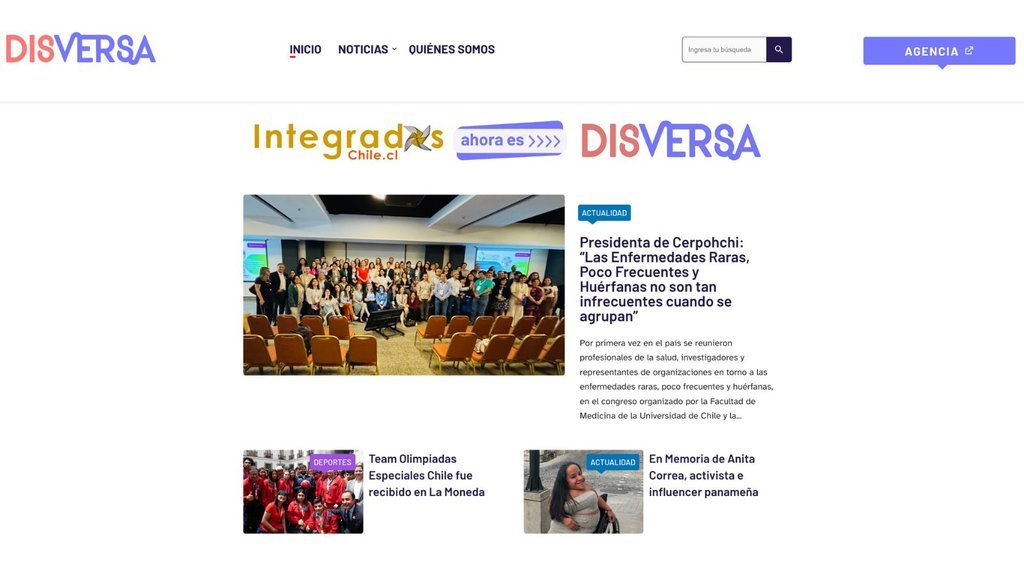 Screenshot of the disversa website