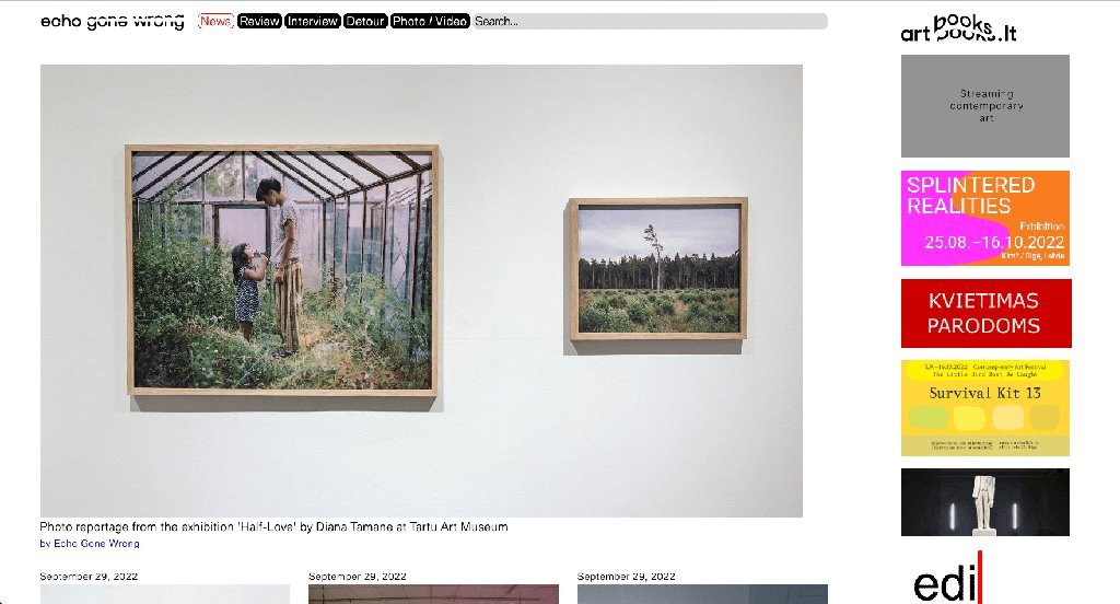 Screenshot of the Echo Gone Wrong website