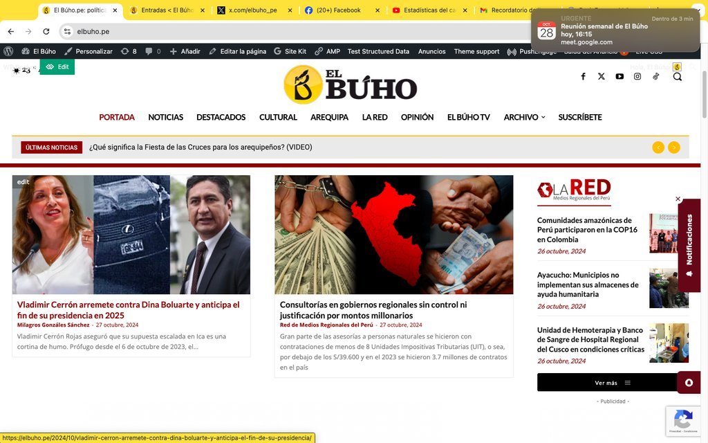 Screenshot of the El Buho website