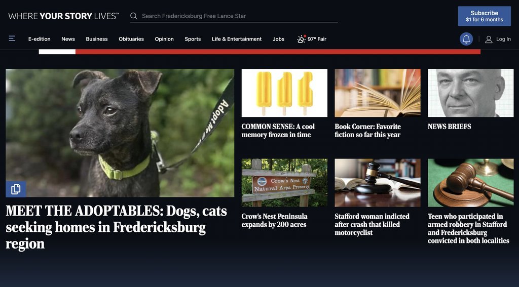 Screenshot of the Free Lance-Star website