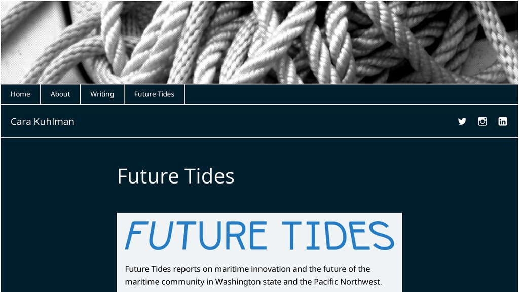 Screenshot of the Future Tides website