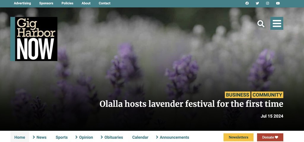 Screenshot of the Gig Harbor Now website