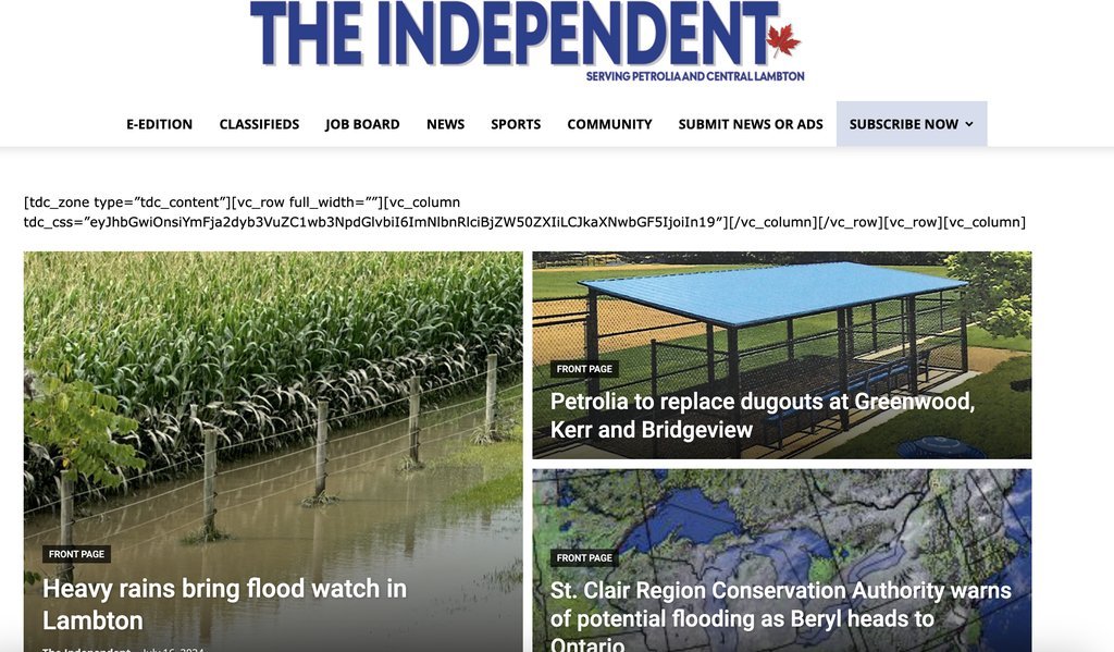 Screenshot of the Independent, The website