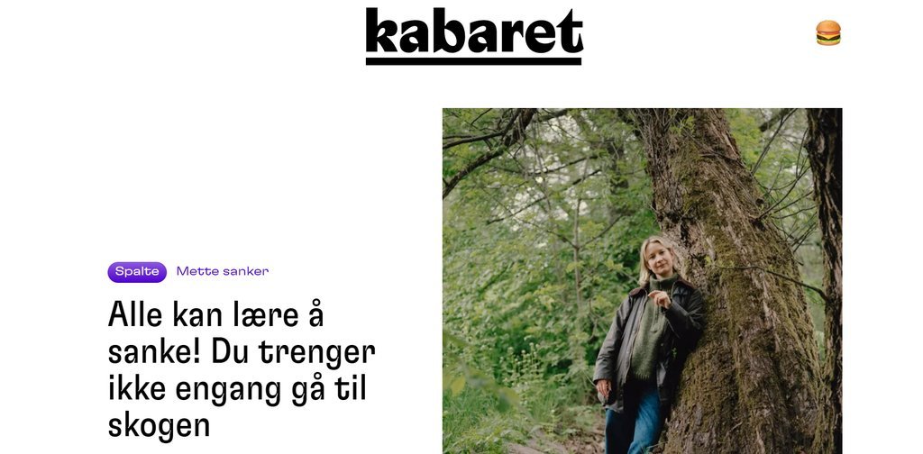 Screenshot of the Kabaret website