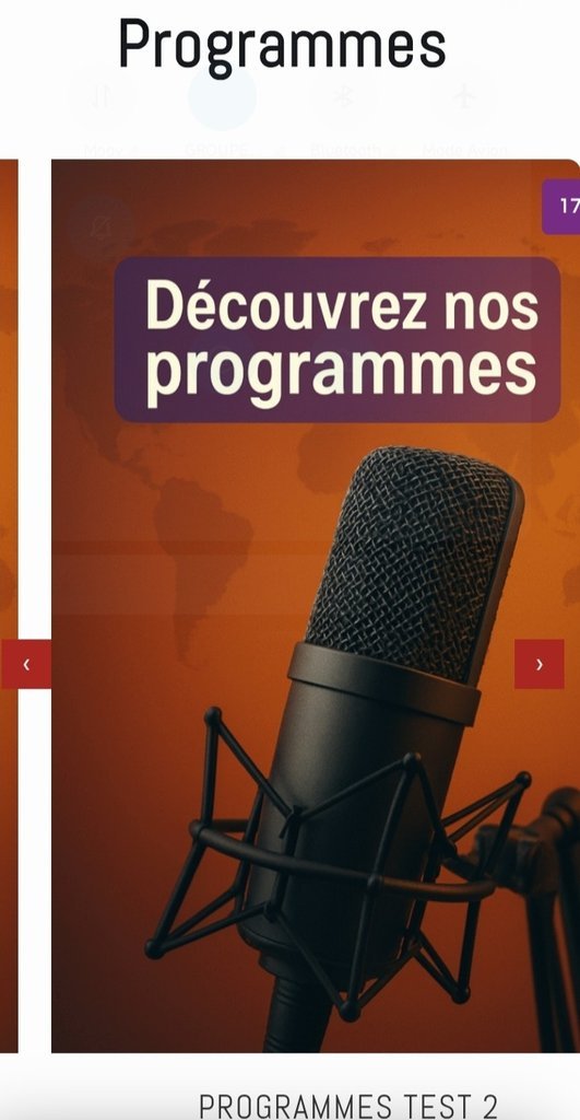 Screenshot of the La Voix de la Diaspora website