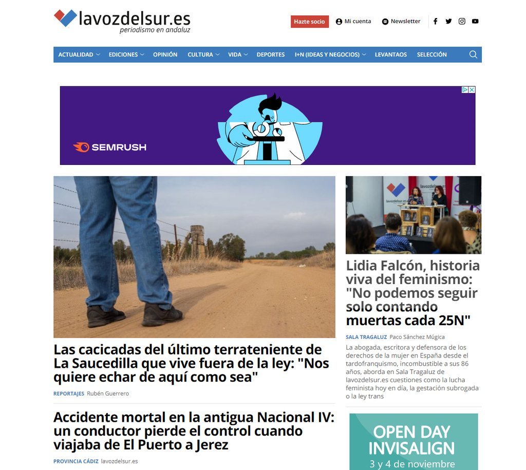 Screenshot of the Lavozdelsur.Es website