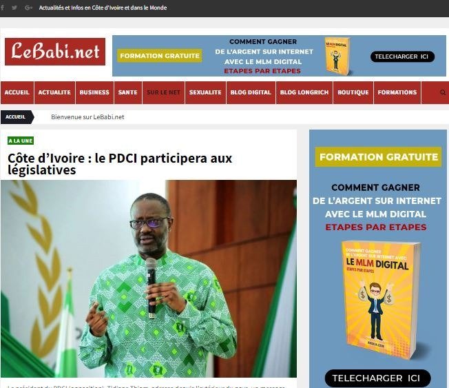 Screenshot of the LeBabi.net website