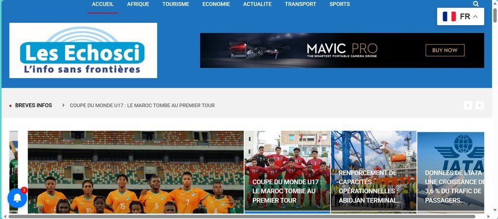Screenshot of the Les echos ci website