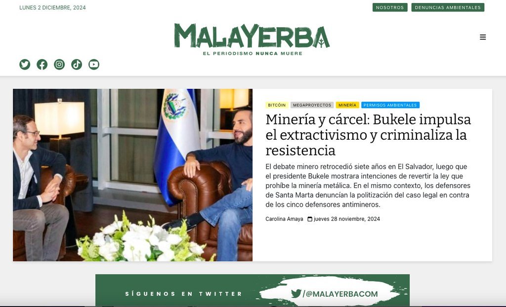 Screenshot of the Malayerba website