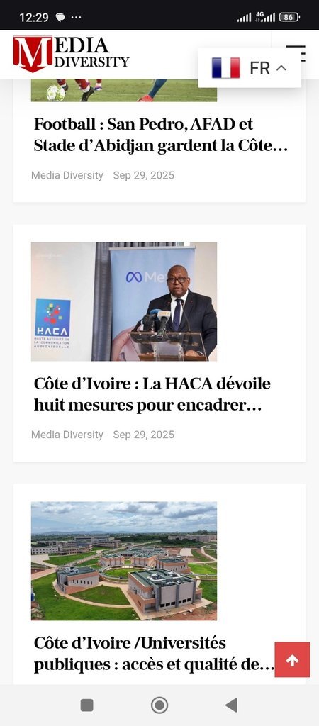 Screenshot of the Media Diversity website