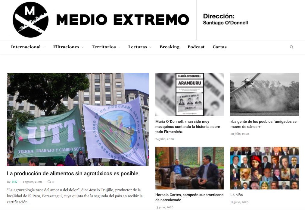 Screenshot of the Medio Extremo website