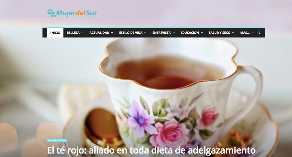 Screenshot of the Mujer Del Sur website