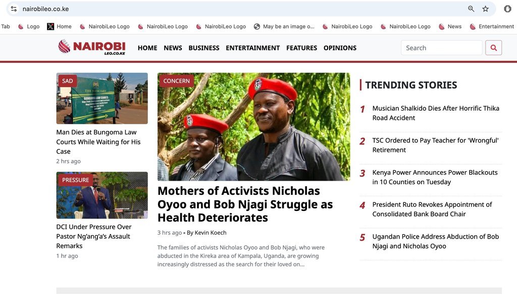 Screenshot of the Nairobi Leo website