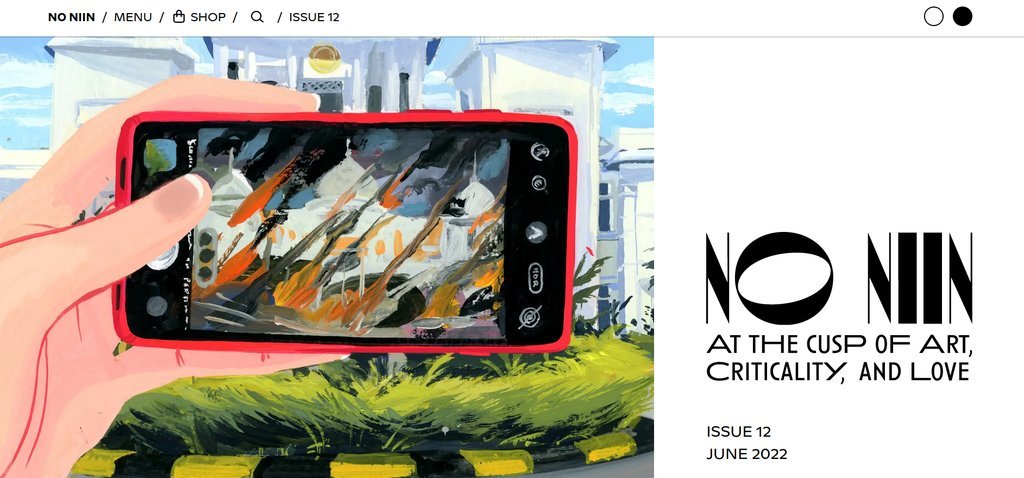 Screenshot of the NO NIIN website