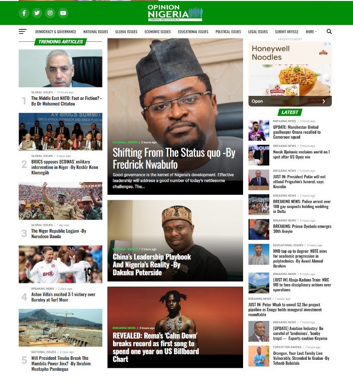 Screenshot of the Opinion Nigeria website