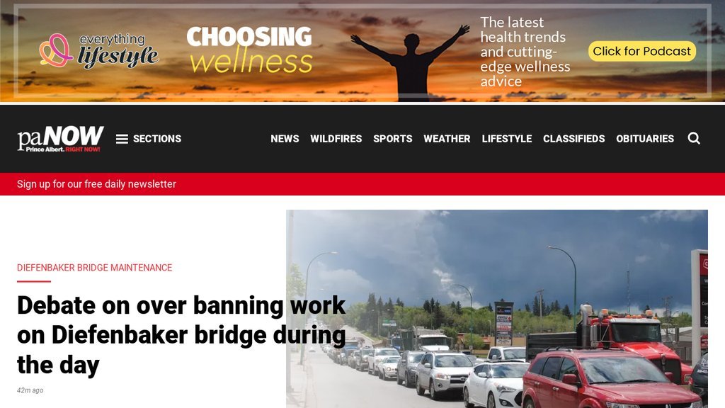 Screenshot of the paNOW website