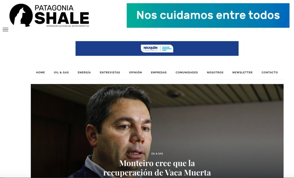 Screenshot of the Patagonia Shale website