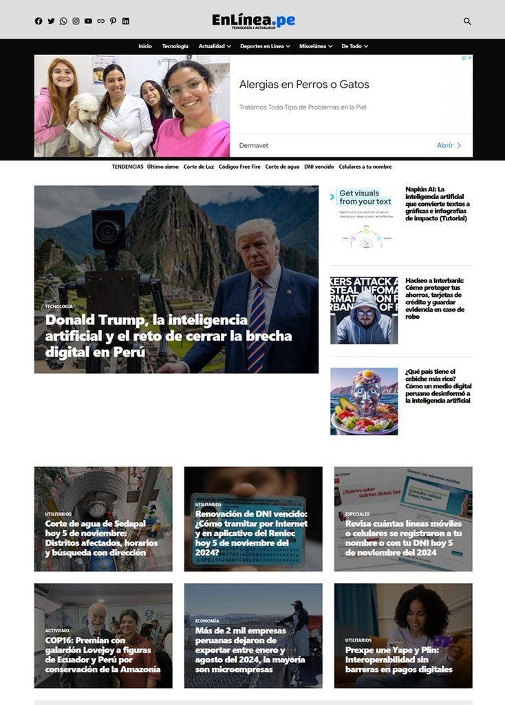 Screenshot of the Periodismo En Linea website