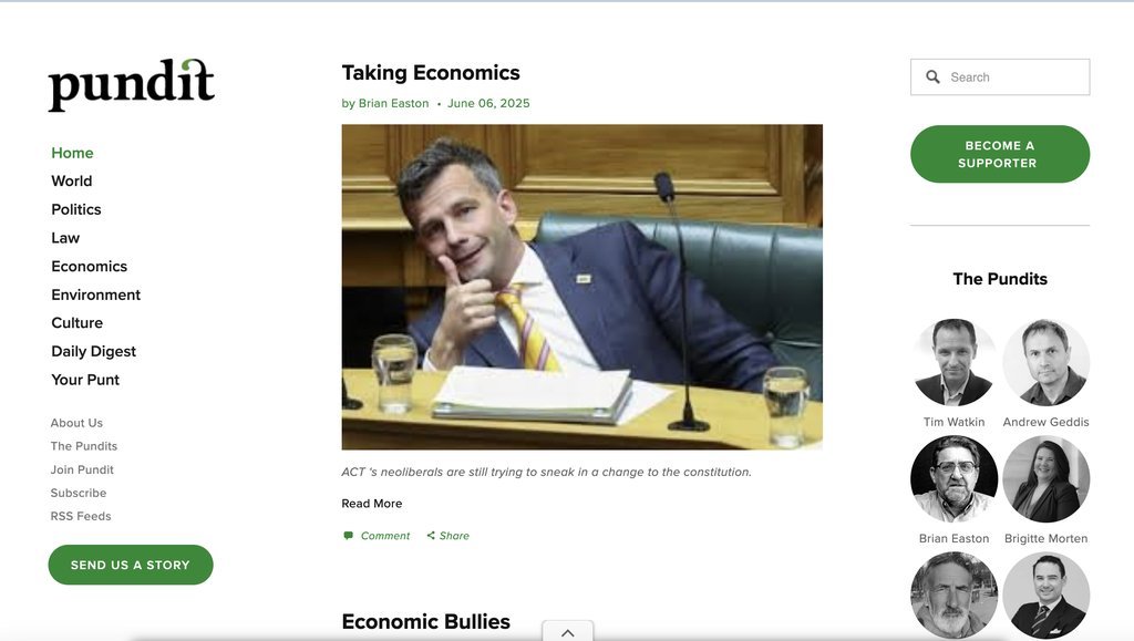 Screenshot of the Pundit website