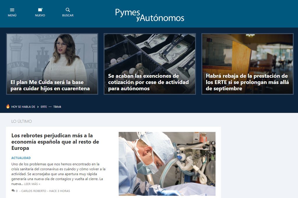Screenshot of the Pymes Y Autonomos website