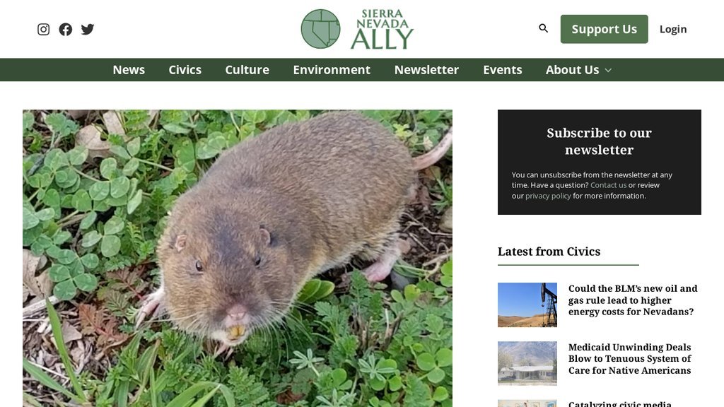 Screenshot of the Sierra Nevada Ally, The website
