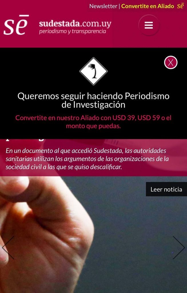 Screenshot of the Sudestada website
