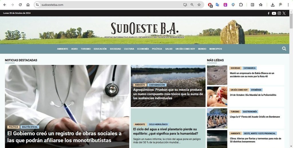 Screenshot of the Sudoeste B.A. website