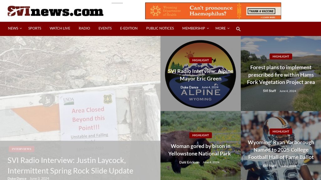 Screenshot of the SVI Media website