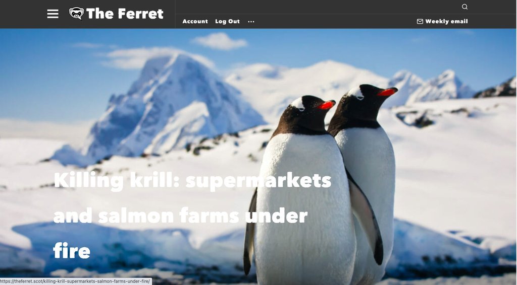 Screenshot of the The Ferret website
