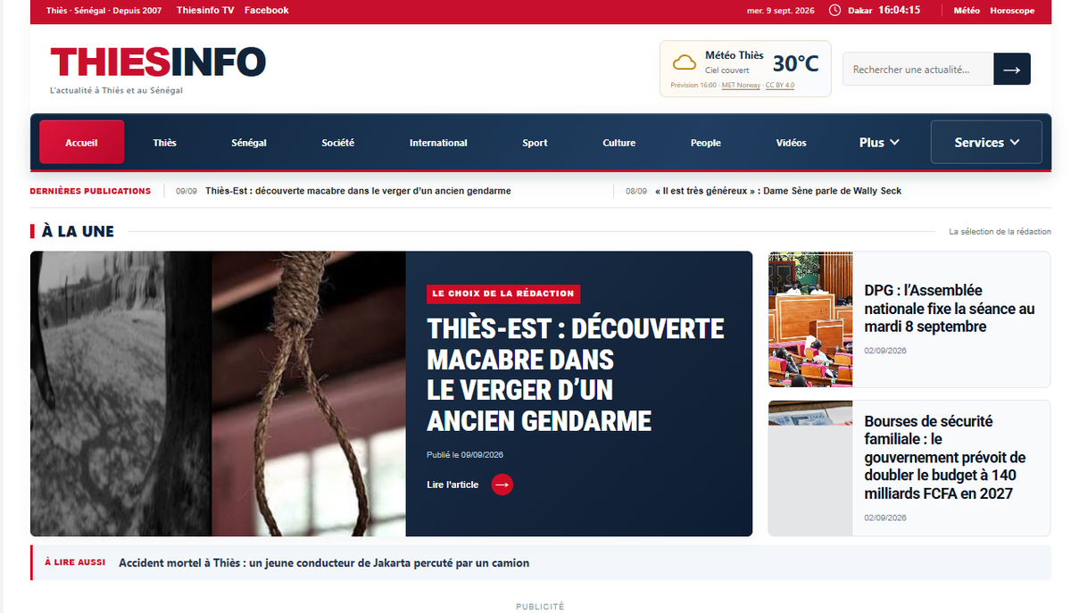 Screenshot of the Thies Info website