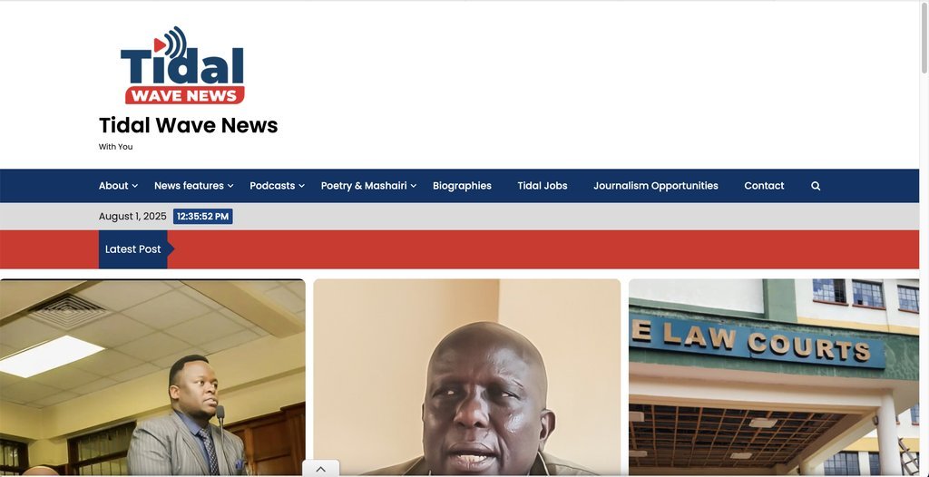 Screenshot of the Tidal Wave News website