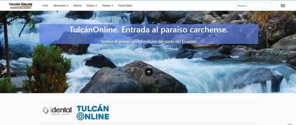 Screenshot of the Tulcan Online website