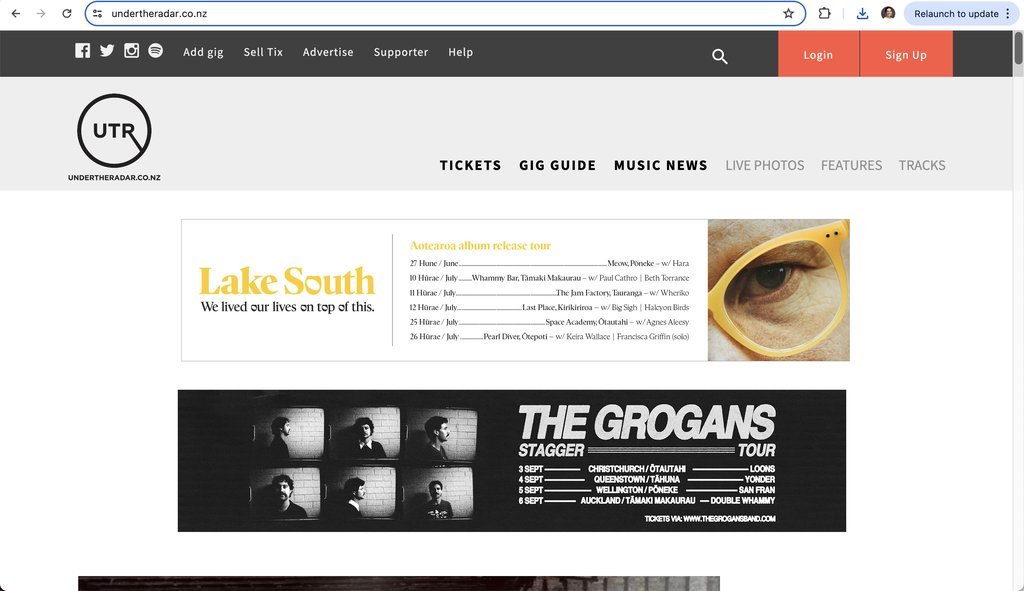 Screenshot of the Under The Radar website