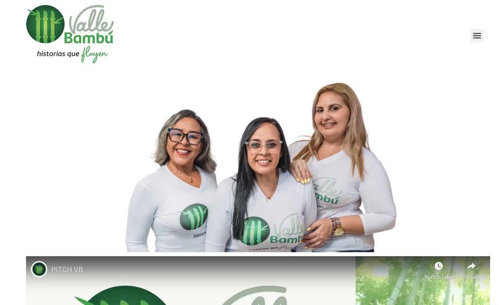 Screenshot of the valle bambu website