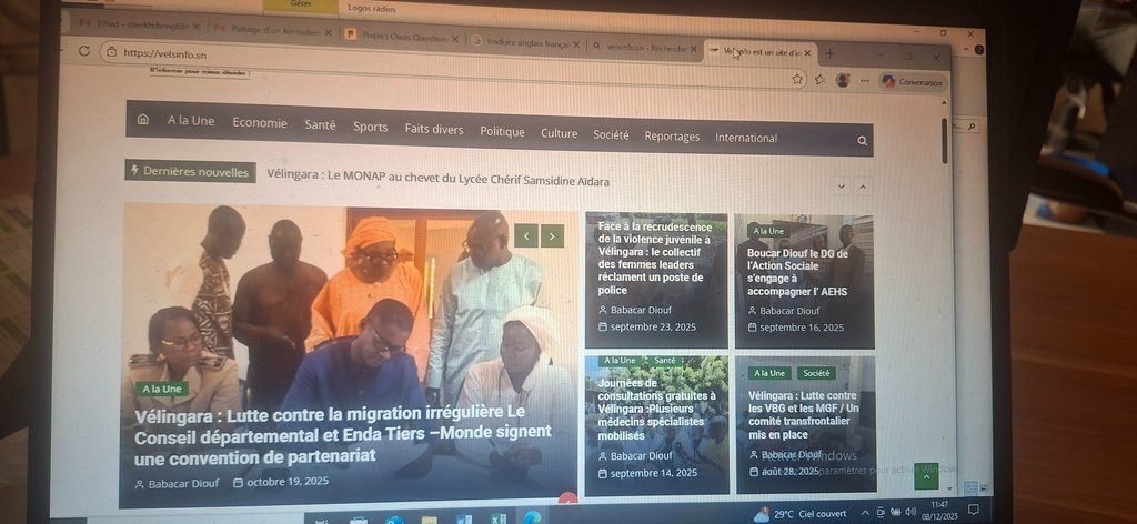Screenshot of the Velsinfo website