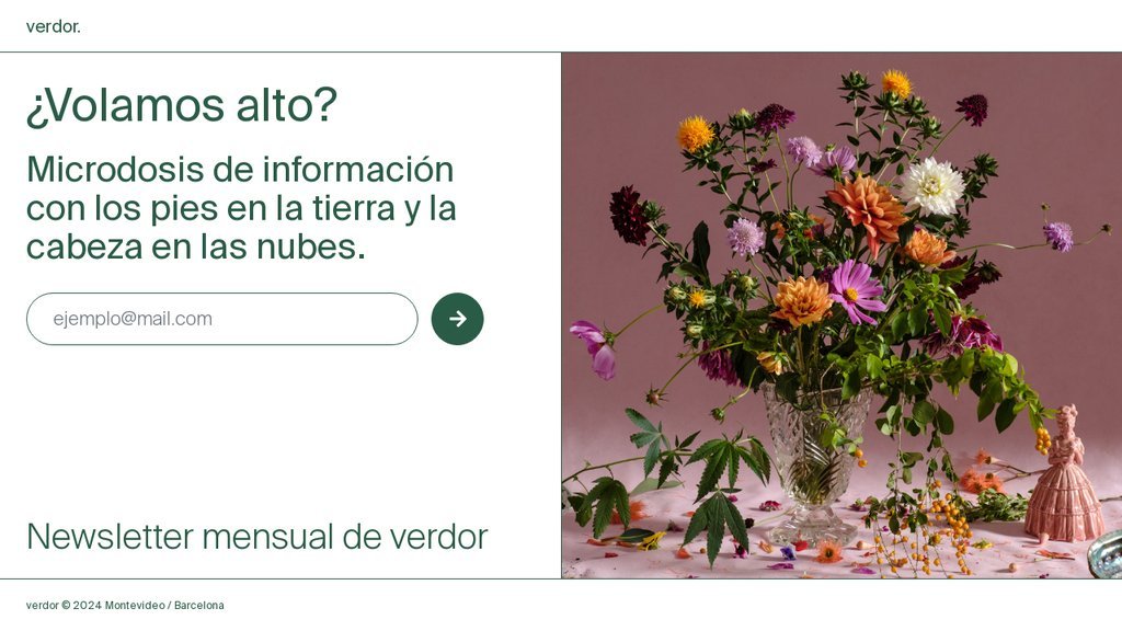 Screenshot of the Verdor website