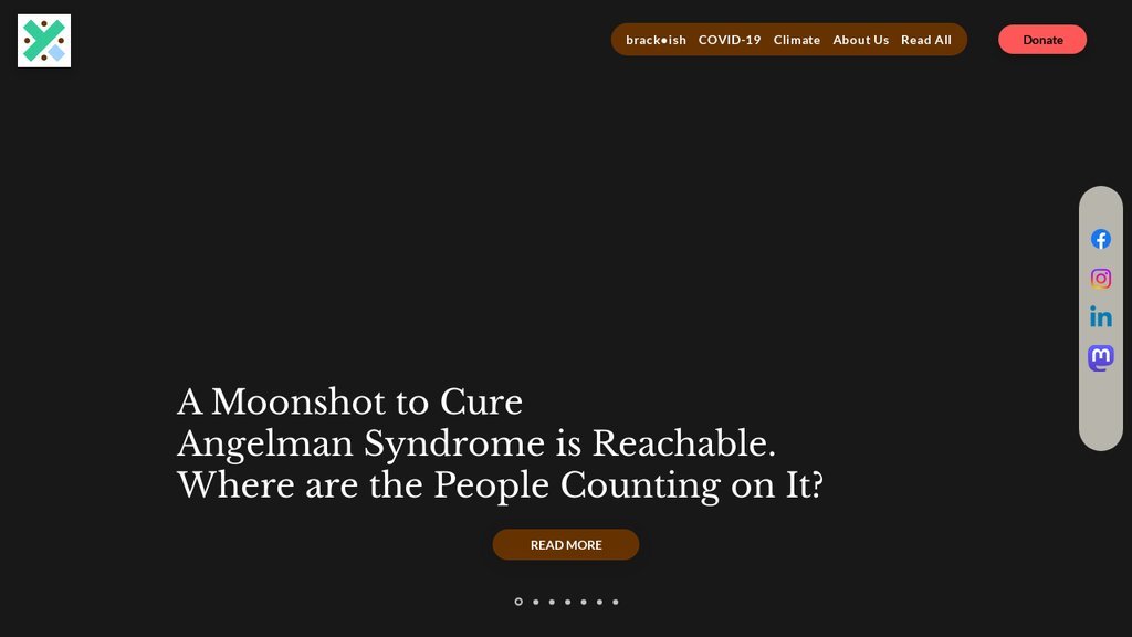 Screenshot of the Xylom, The website
