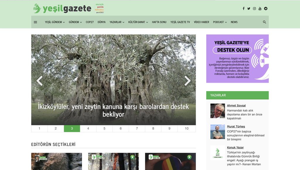 Screenshot of the Yeşil Gazete website